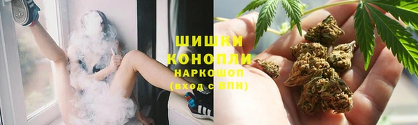 гидропоника Горняк