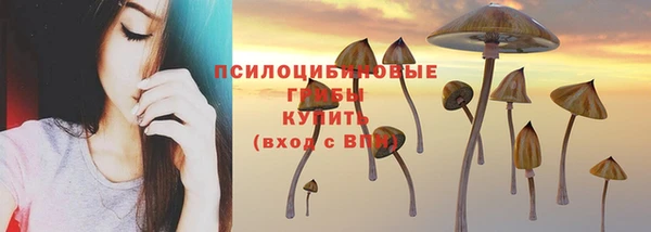 гидропоника Горняк